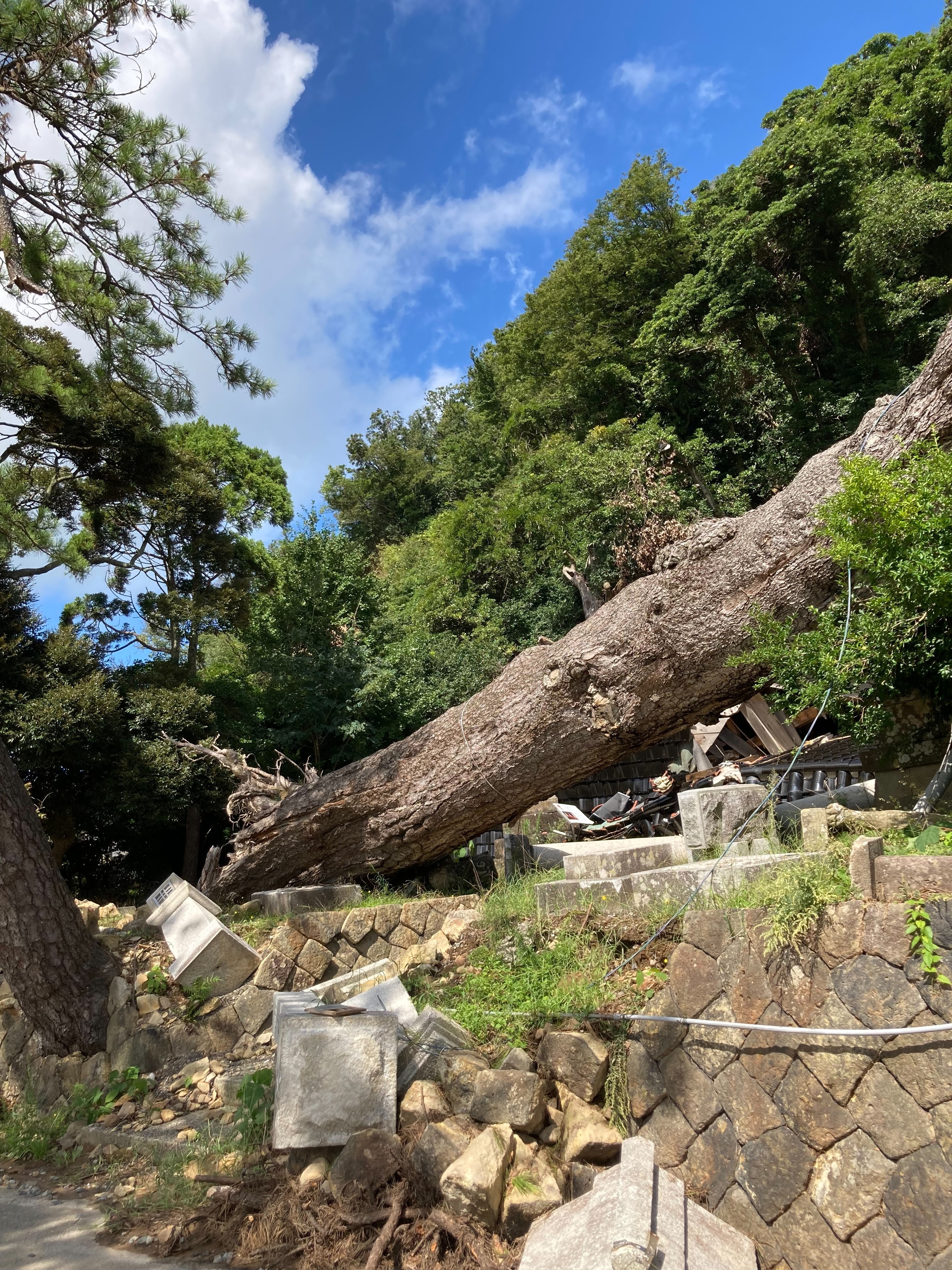 地震で倒壊した灯籠と石垣の神社境内